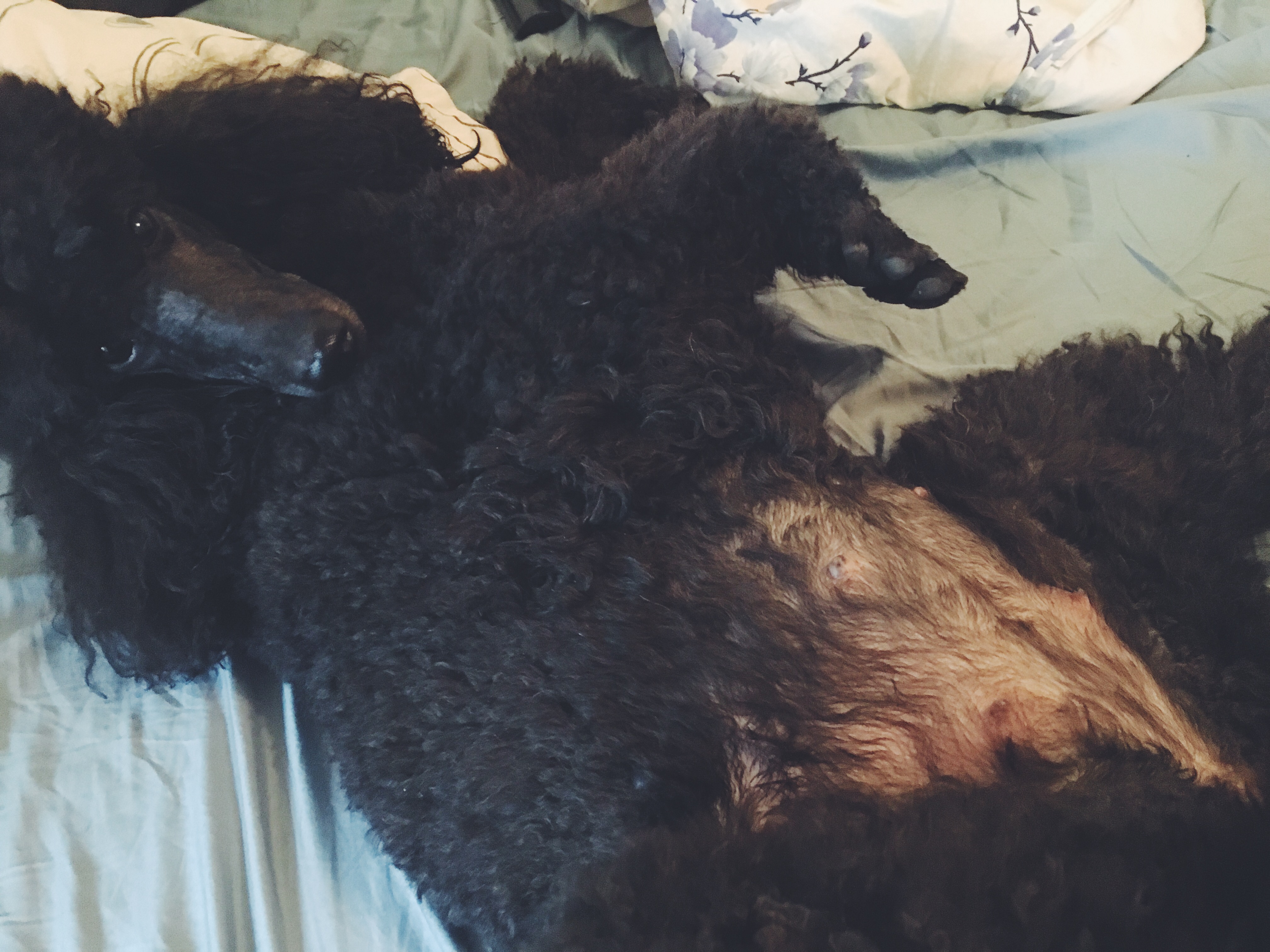 Processed with VSCO with f2 preset