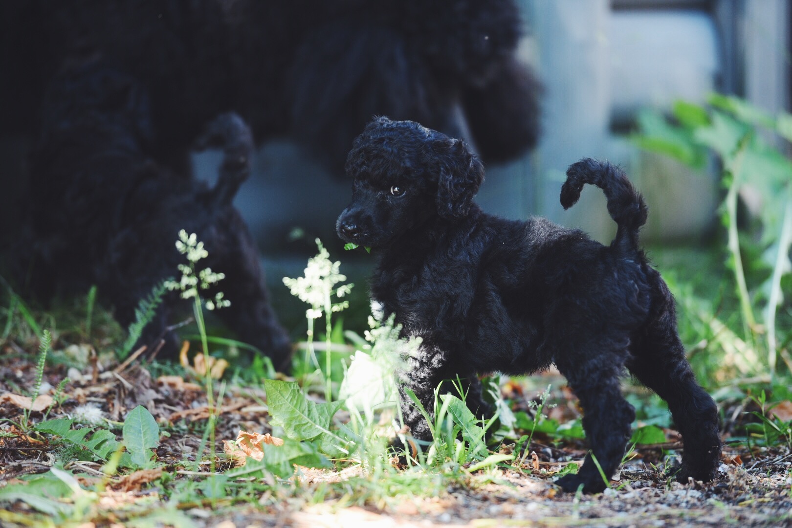 Processed with VSCO with f2 preset