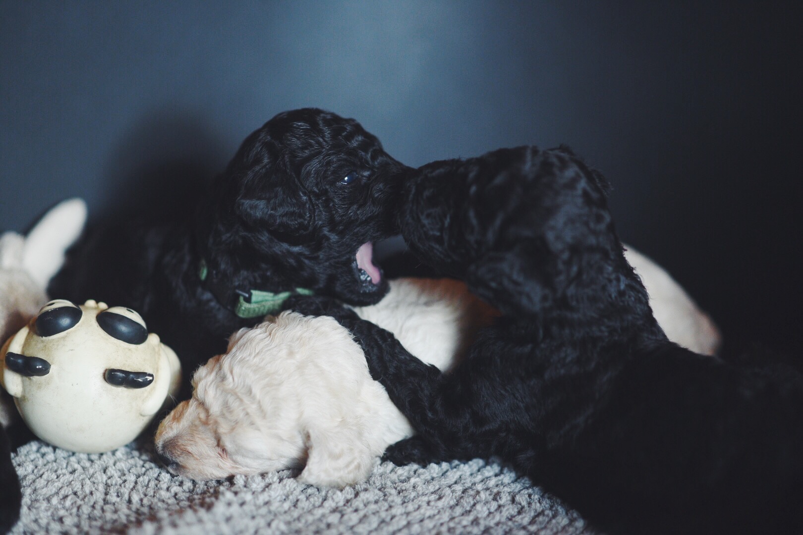 Processed with VSCO with f2 preset