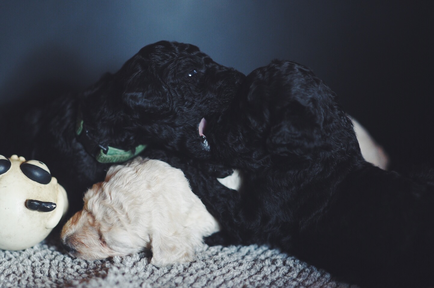 Processed with VSCO with f2 preset